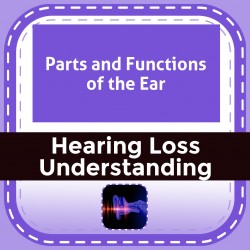 Parts and Functions of the Ear
