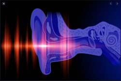 Hearing Loss - Awareness & Understanding of Own Hearing Loss